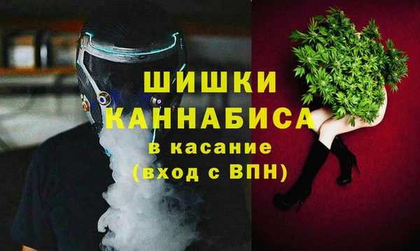 шишки Белокуриха